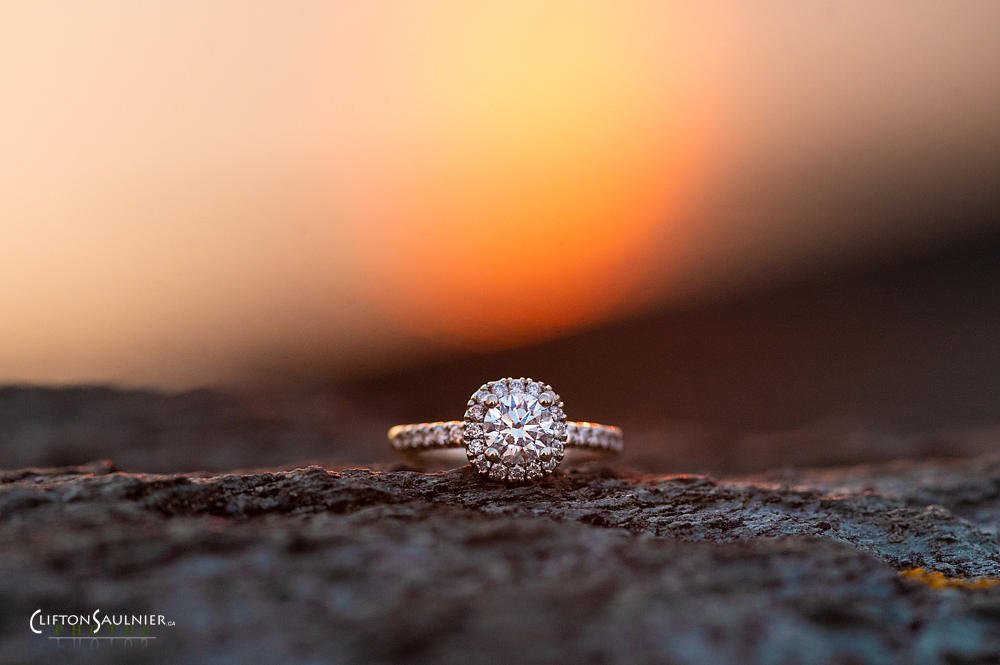 Cape Forchu - Engagement